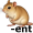 rodent5