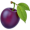 plum5