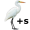 egrets5