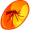 amber5