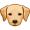 pup5