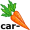carrots5