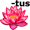 lotus5