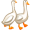 geese5