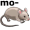 mouse5