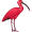 ibis5