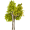 aspen5