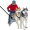 sled5