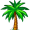 palm5