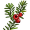 yew5