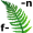 fern5