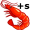 shrimps5