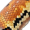 snakeskin5