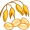 oat5