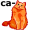 cat5
