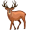 elk5