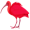 ibis5