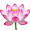 lotus5
