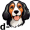 dog5