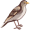 lark5