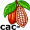 cacao5