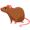 rat5