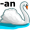 swan5