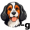 dog1