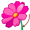stem5