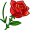 thorn5