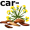 caraway5
