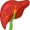 liver5