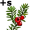 yew5