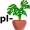 plant5