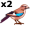jay5