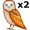 owls5