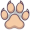paw5