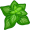 oregano5