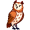 owl5