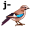 jay5