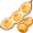 soy5