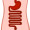 gut5