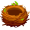 nest5