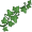 ivy5