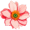 anemone5