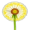 dandelion5