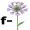 flax5