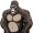 gorilla5