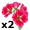 geraniums5