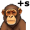 ape5